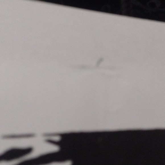 BLACK FLAG Punk Band poster from the show at the fleetwood in Redondo beach CA - Picture 7 of 8